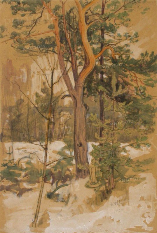 Landscape Study, 1894. Creator: Victor Westerholm.