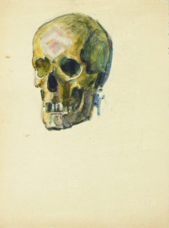Skull, c1910s. Creator: Verner Thome.