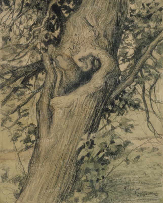 Old linden tree, 1903. Creator: Albert Edelfelt.