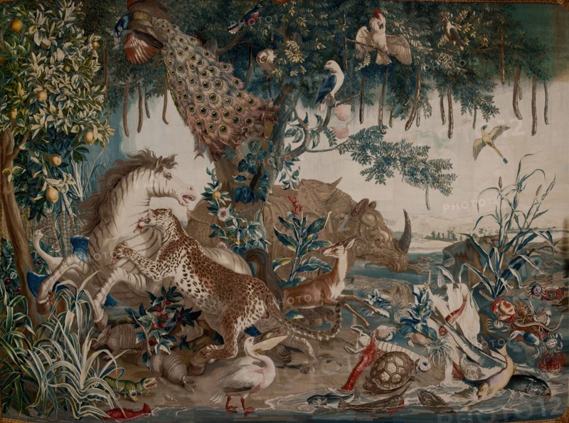 The Striped Horse. From the Series "The New Indies". Gift from King Louis XVI to the..., 1780-1781. Creator: Anonymous master.