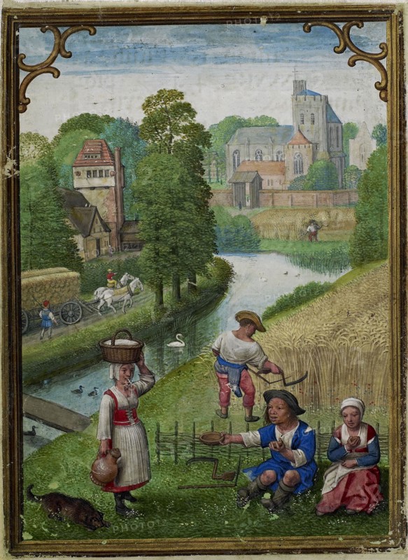 The Hours of Hennessy (Hours of Notre-Dame). Labors of the Months: August, c1530. Creator: Bening, Simon, (Workshop) (ca 1483-1561).