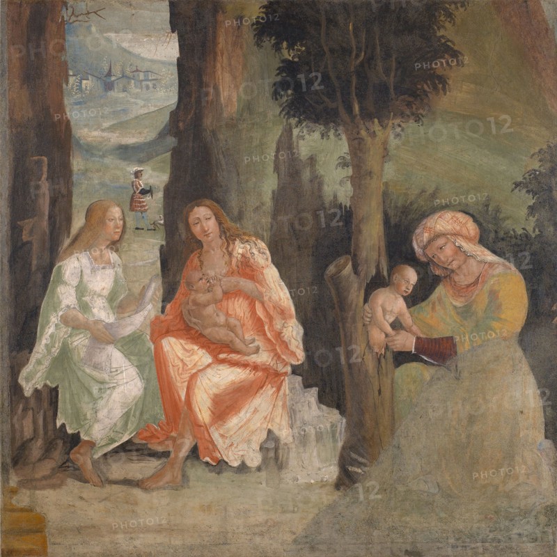 Birth of Adonis, c1517-1518. Creator: Ferramola, Floriano (Fioravante) (c. 1478-1528).