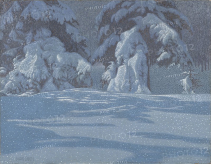 Fir trees in the snow. Creator: Lindh, Bror (1877-1941).