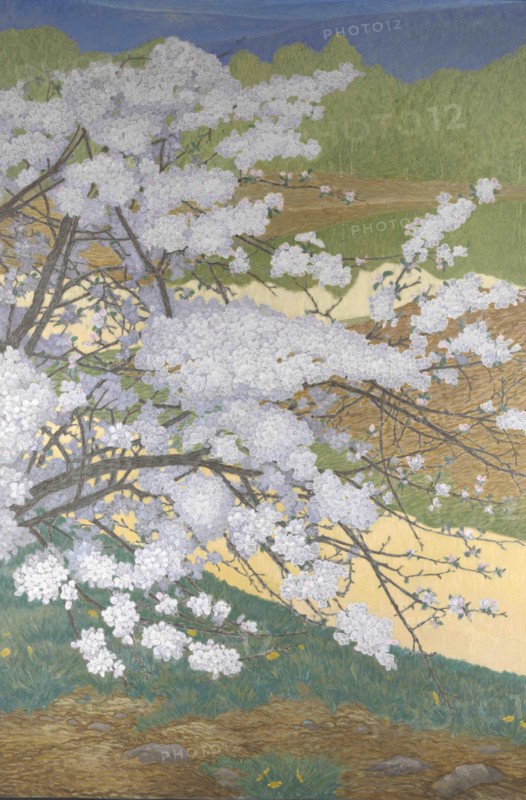 Cherry branch, 1910s. Creator: Lindh, Bror (1877-1941).