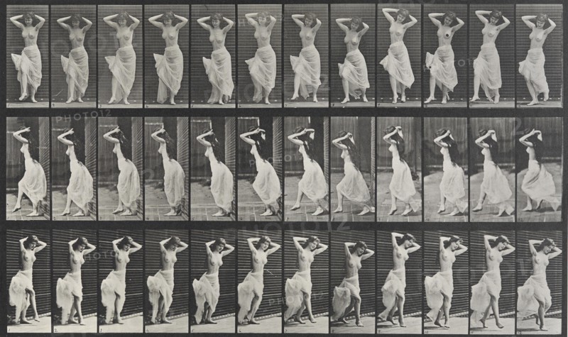 Animal Locomotion Plate 190, 1887. Creator: Muybridge, Eadweard (1830-1904).