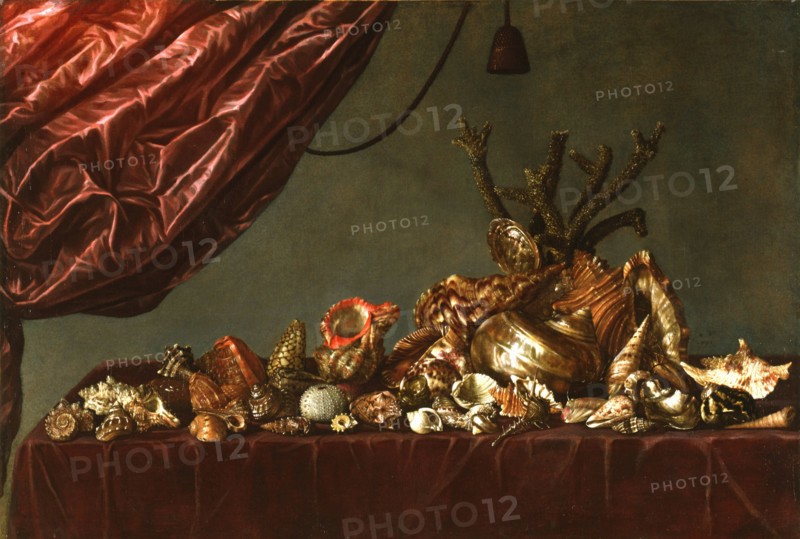Still Life with Shells, 1659. Creator: Susenier, Abraham (c. 1620-c. 1666).