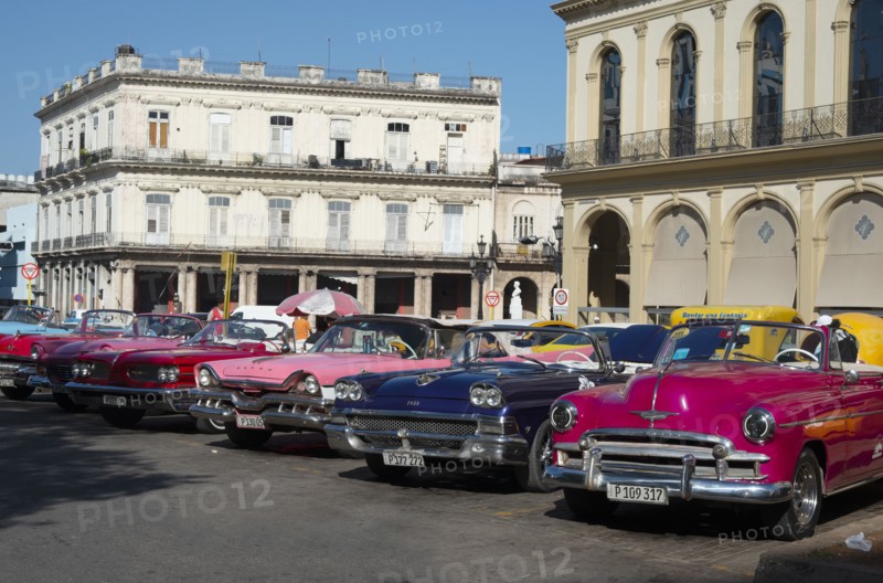 Selection of beautifully restored old American cars, alongside the Parque Central, Havana, Cuba,2024 Creator: Ethel Davies.