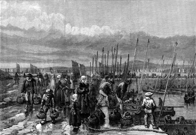 Sardine fishery on the coast of Brittany, 1871. Creator: Unknown.