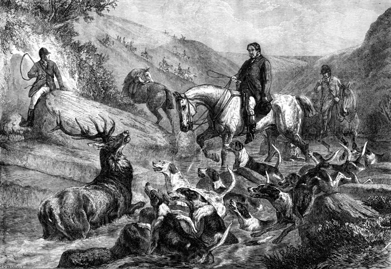A Stag at Bay on Exmoor Forest, by S. Carter, 1871. Creator: J Greenaway.