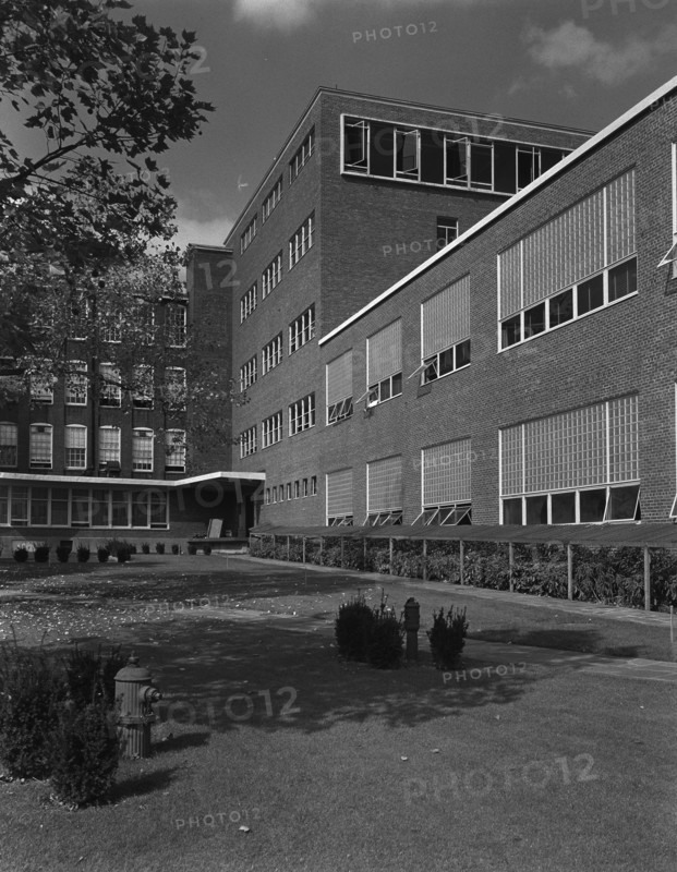 Becton Dickinson, East Rutherford, New Jersey, 1953. Creator: Gottscho-Schleisner, Inc.