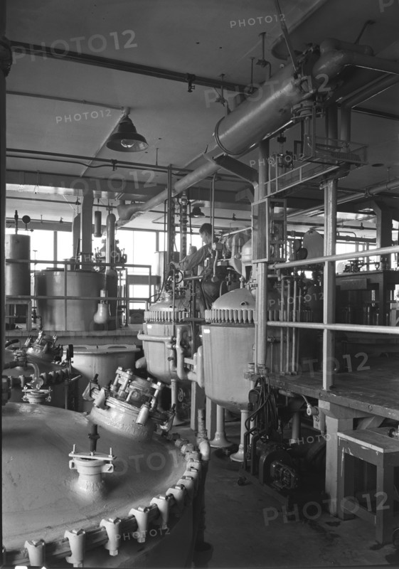 Hoffmann-LaRoche Inc., Nutley, New Jersey, 1943. Creator: Gottscho-Schleisner, Inc.