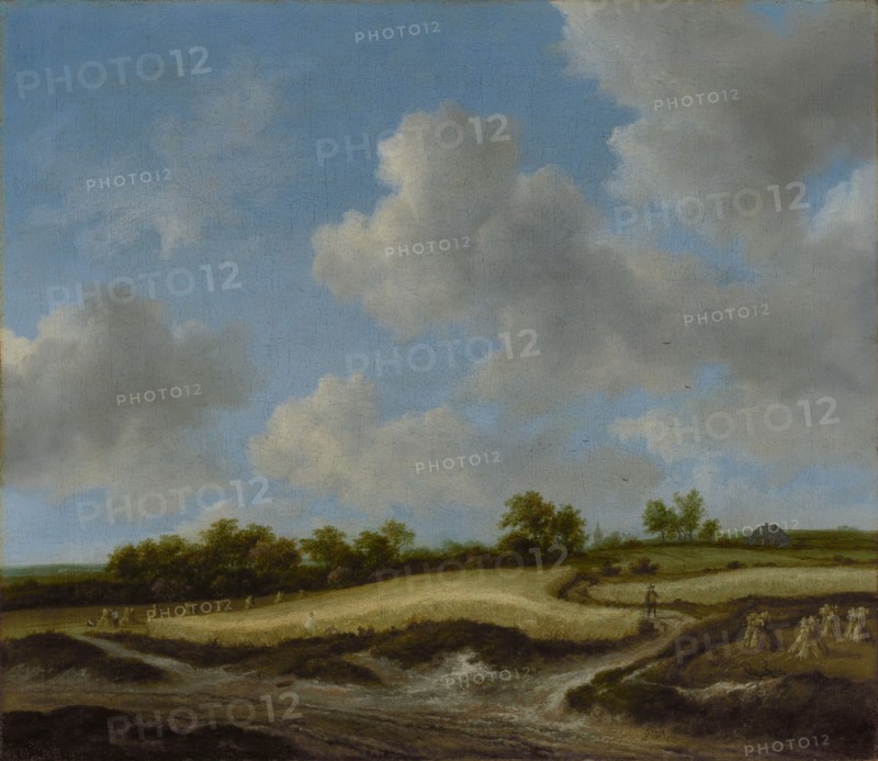 Landscape with a Wheatfield, about late 1650s-early 1660s. Creator: Jacob van Ruisdael.