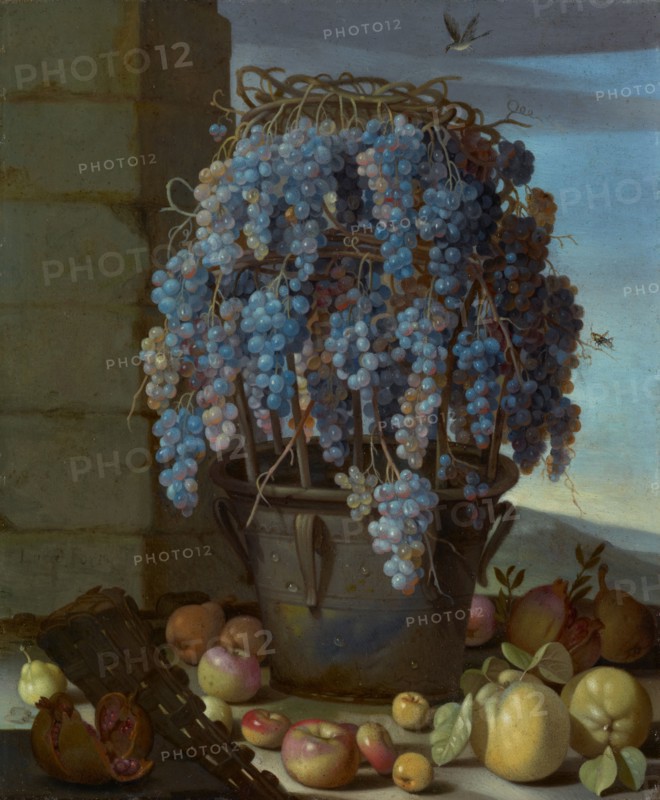 Still Life with Grapes and Other Fruit, 1630s. Creator: Luca Forte.