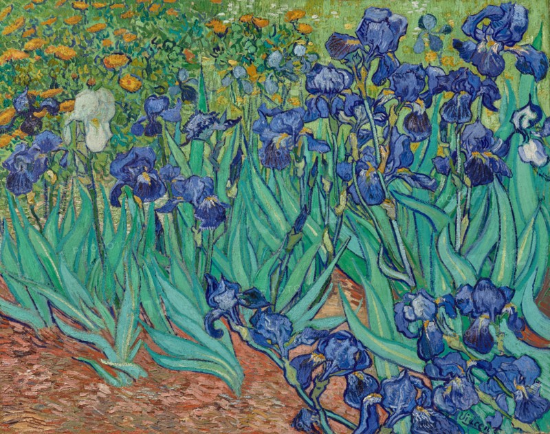 Irises, 1889. Creator: Vincent van Gogh.