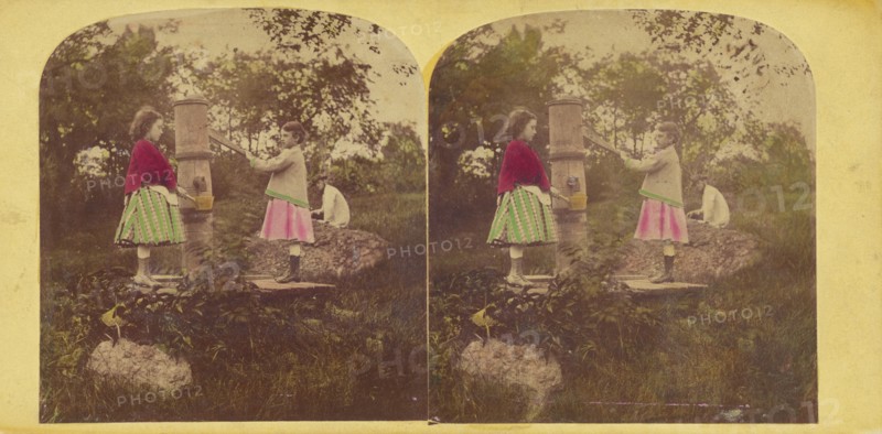 The poppies, 1860s. Creator: E. Rowell.