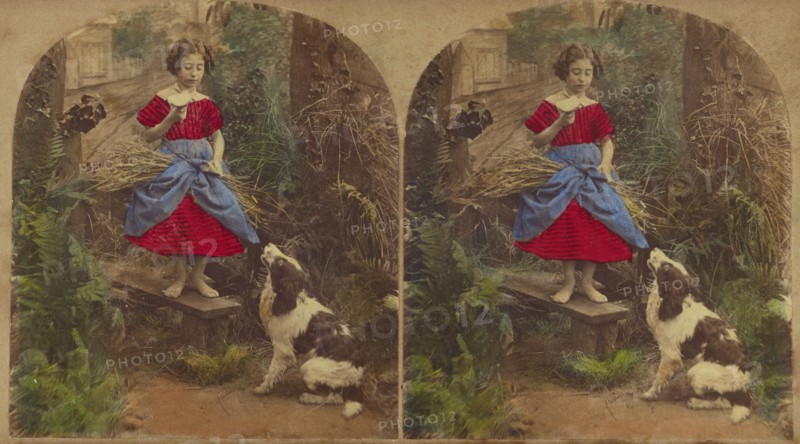Dining Out, and Nothing for the Waiter, about 1860. Creator: London Stereoscopic & Photographic Co.