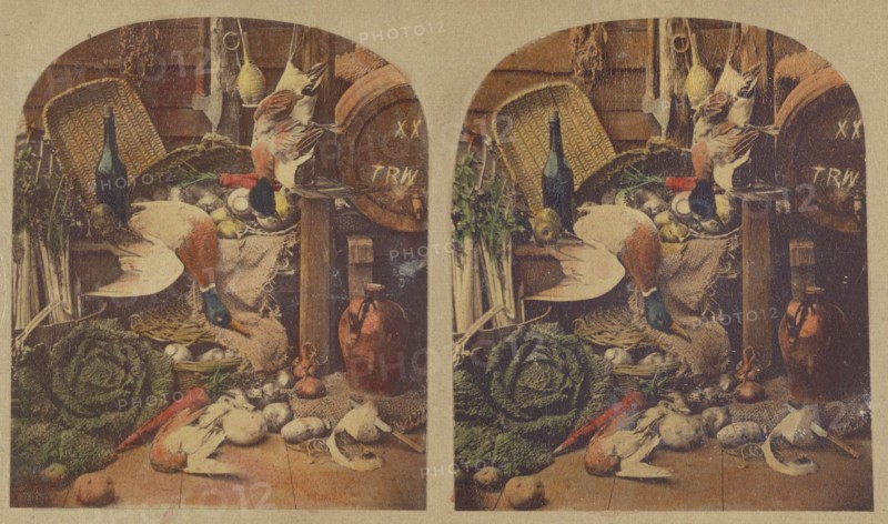 Scenes from our Larder., about 1860. Creator: Thomas Richard Williams.