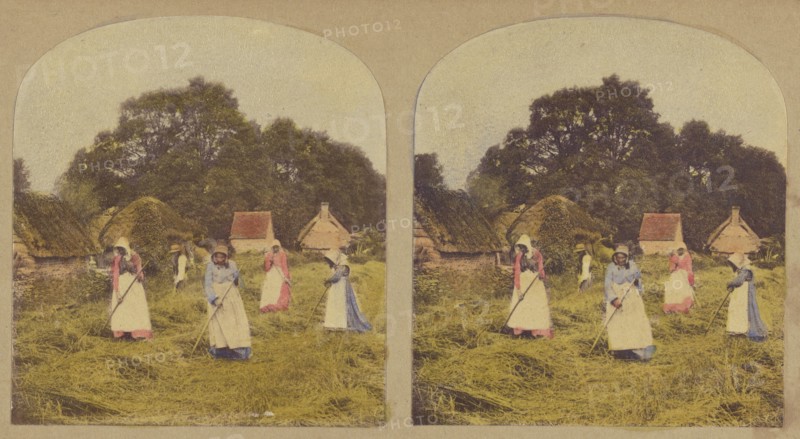 Turning Barley., about 1855. Creator: Thomas Richard Williams.