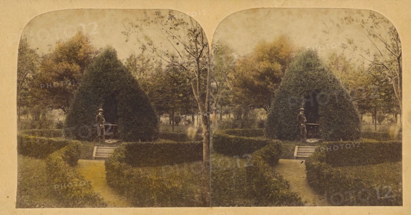 Evergreen Lodge, about 1865. Creator: Deloss Barnum.