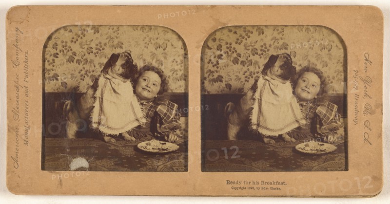 Ready for his Breakfast., 1896. Creator: Edward Clarke.