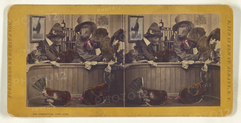 The Chicken dispute., 1870. Creator: Eugene S. M. Haines.