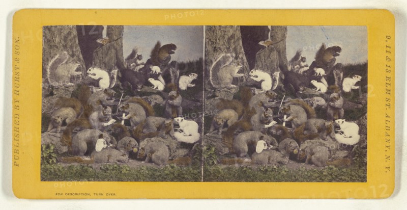 The dying Squirrel, with his Wife, Lawyer, Minister, etc., etc., 1870. Creator: Eugene S. M. Haines.