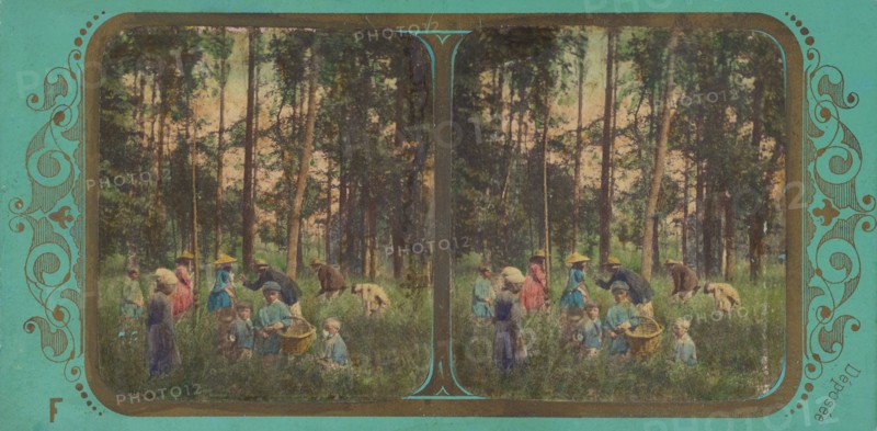La Chasse aux Coquelicots., about 1855. Creator: Fraget & Viret.