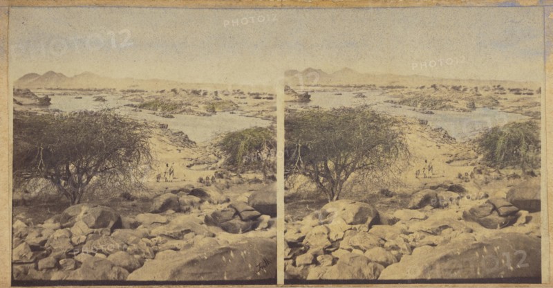 Oasis in desert, 1856-1857. Creator: Francis Frith.