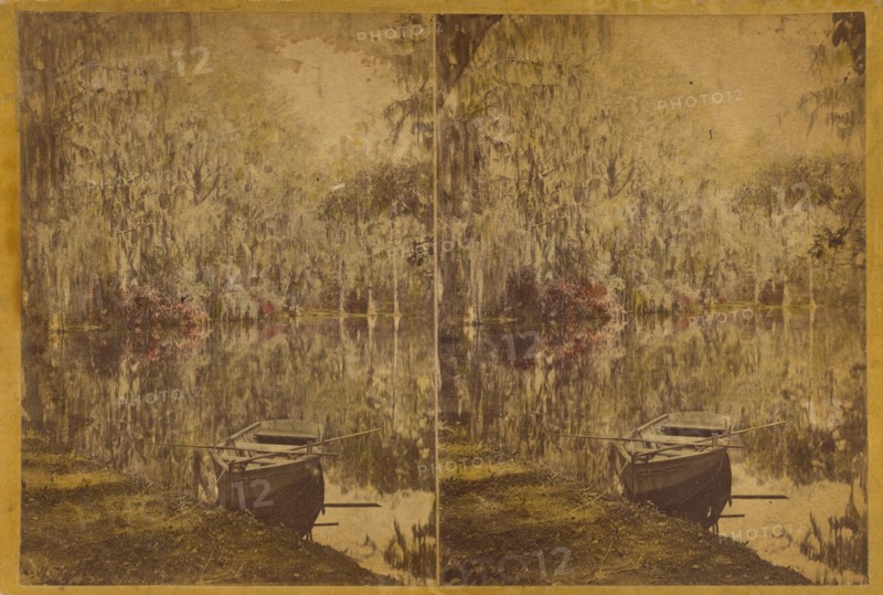 Magnolia - Residence of Rev. J.G. Drayton, on the Ashley River, 12 Miles from..., about 1875-1880. Creator: George N. Barnard.