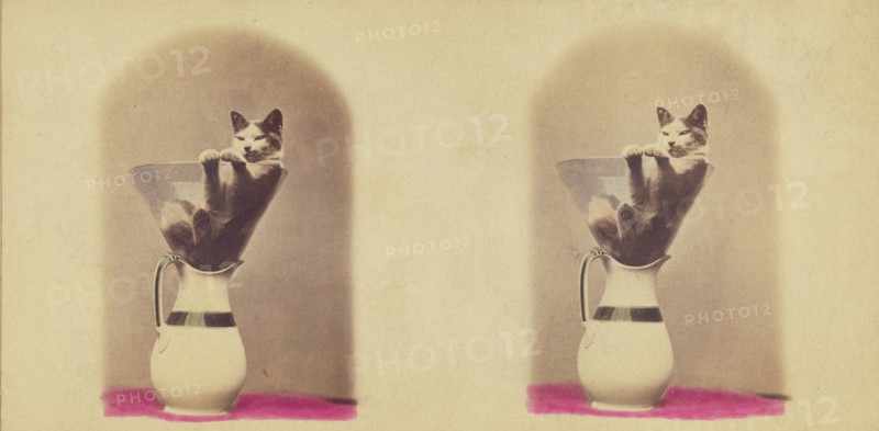 Kitty Series. Hoosac., 1871. Creator: John P. Soule.