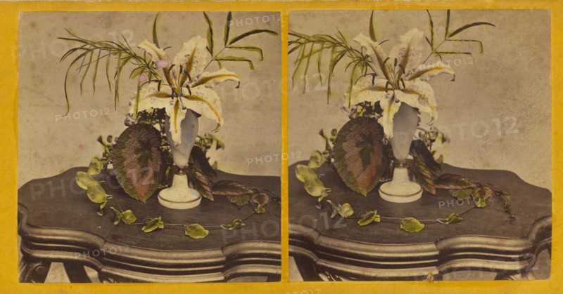 Flowers, Golden Banded Lilly sic., about 1870. Creator: Joseph L. Bates.