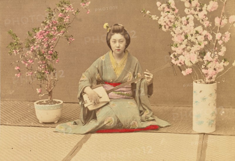 Geisha Playing Samisen, 1897. Creator: Ogawa Kazumasa.