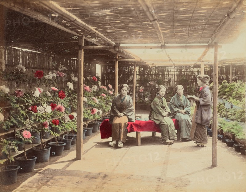Flower Show, 1870s-1890s. Creator: Kusakabe Kimbei.