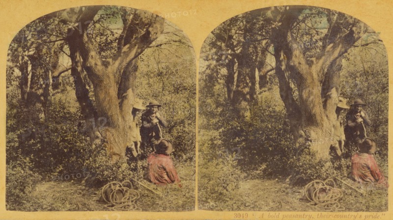 A bold peasantry, their country's pride, about 1860. Creator: London Stereoscopic & Photographic Co.
