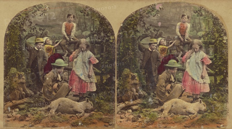 The Dead Lamb, 1868. Creator: London Stereoscopic & Photographic Co.