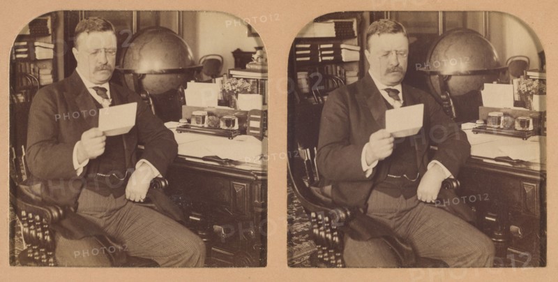 President Theodore Roosevelt at his desk in the White House, Washington, D.C., U.S.A., 1903. Creator: RY Young.