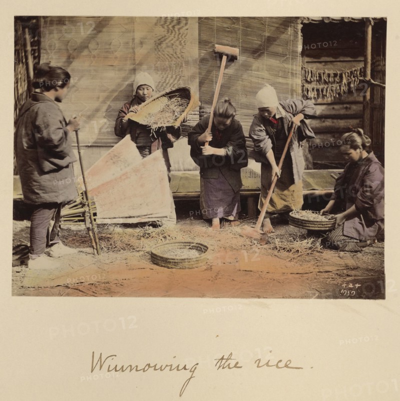 Winnowing the rice, about 1873-1883. Creator: Shinichi Suzuki I.