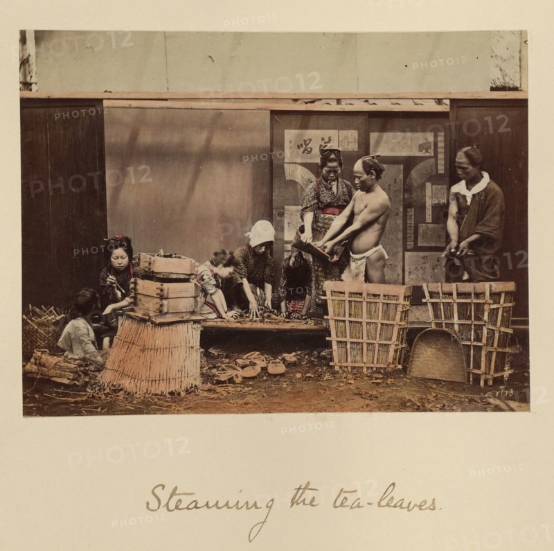 Steaming the Tea Leaves, about 1873-1883. Creator: Shinichi Suzuki I.