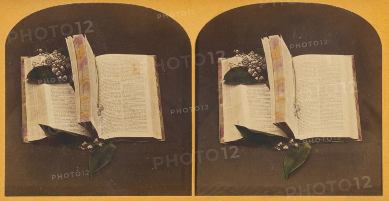 Book opened at two spots, one with book mark string, the other with flowers, about 1870-1880. Creator: Unknown.