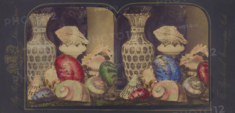 Shells and vases, about 1865. Creator: Unknown.