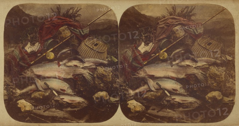 The Rod. A Scene in the Highlands., about 1865. Creator: Unknown.