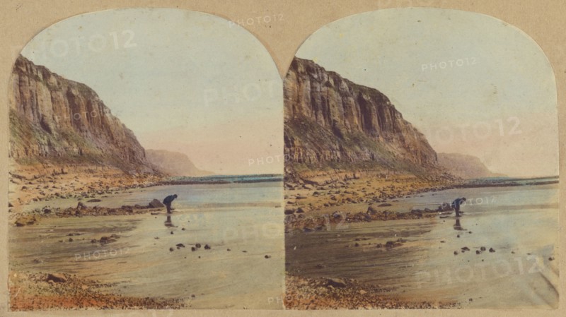 The East Cliff, Hastings., 1860s. Creator: William Russell Sedgfield.