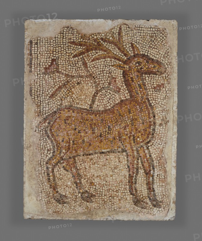 Mosaic Fragment with Stag, 5th-6th century. Creator: Unknown.