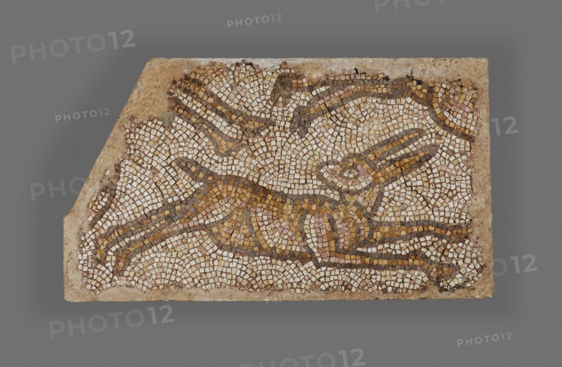 Mosaic of a Rabbit, 5th-6th century. Creator: Unknown.