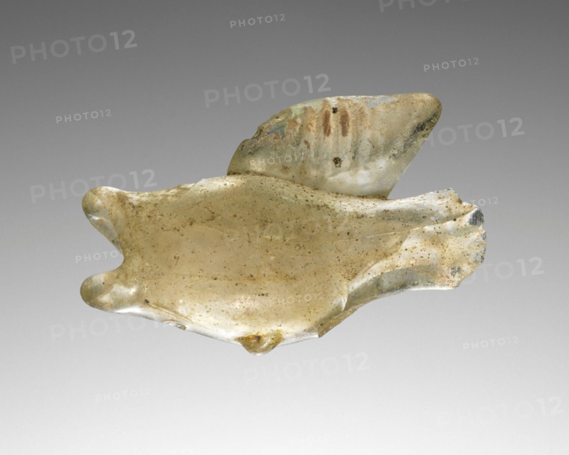 Fish Flask, 3rd century A.D. Creator: Unknown.