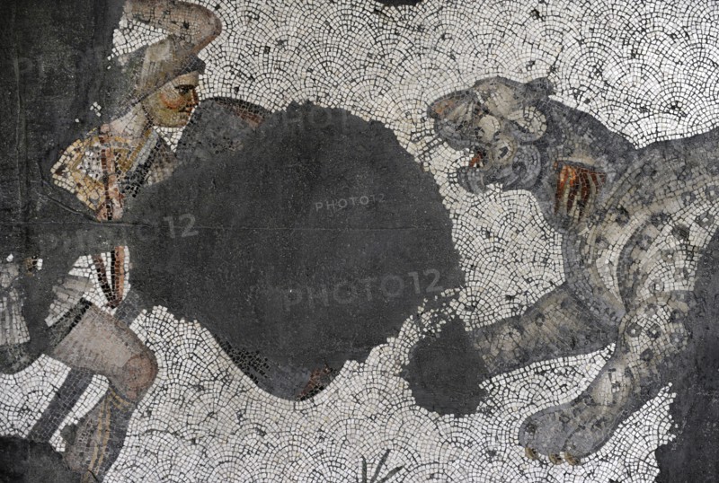 Leopard hunt, detail from mosaic pavement in the Great Palace of Constantinople, 4th-6th century. Creator: Unknown.