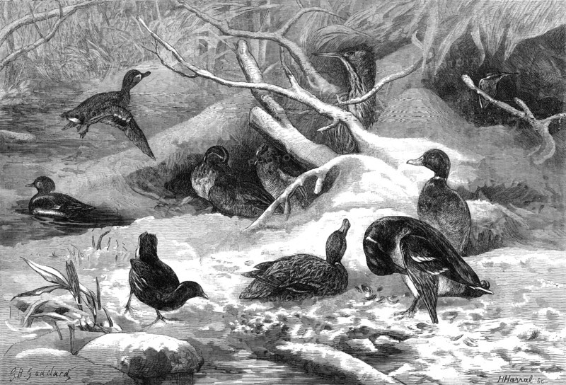 The months: January, 1871. Creator: Horace Harral.