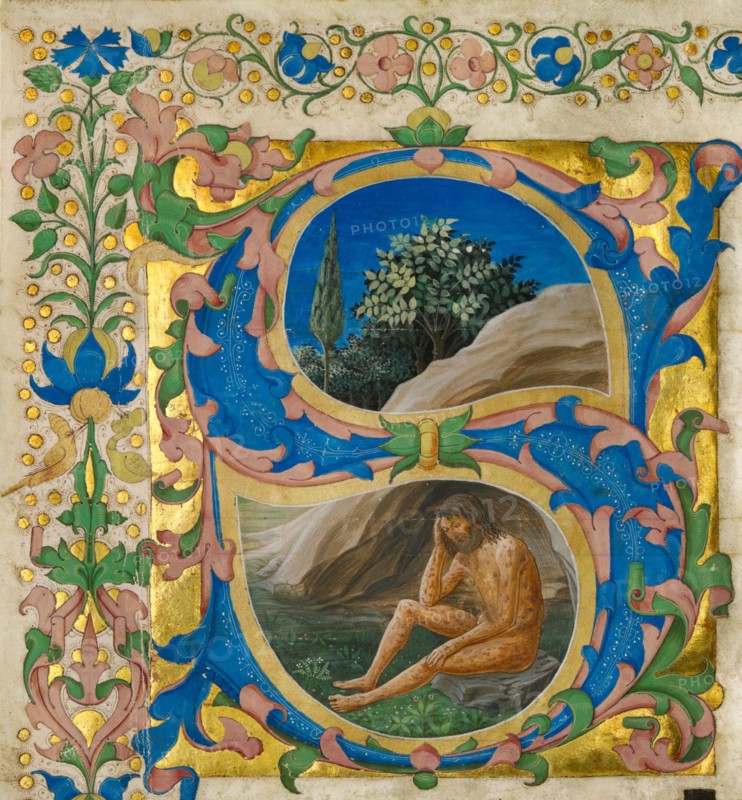 Initial S: Job, cutting from a choir book, third quarter of 15th century. Creator: Francesco di Antonio del Chierico.