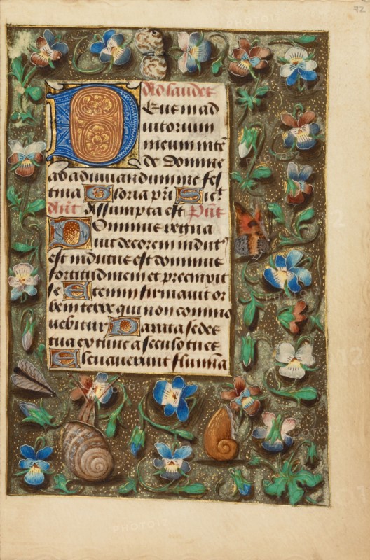 Decorated Initial D; Crohin-La Fontaine Hours, about 1480-1485 ?. Creator: Master of the Dresden Prayer Book.