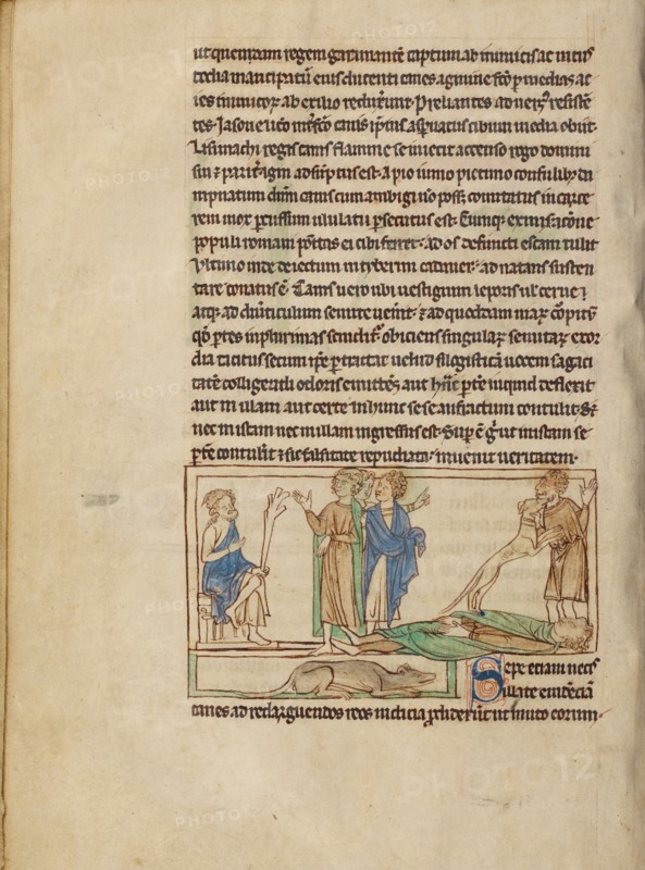 Dogs; Northumberland Bestiary, about 1250-1260. Creator: Unknown.